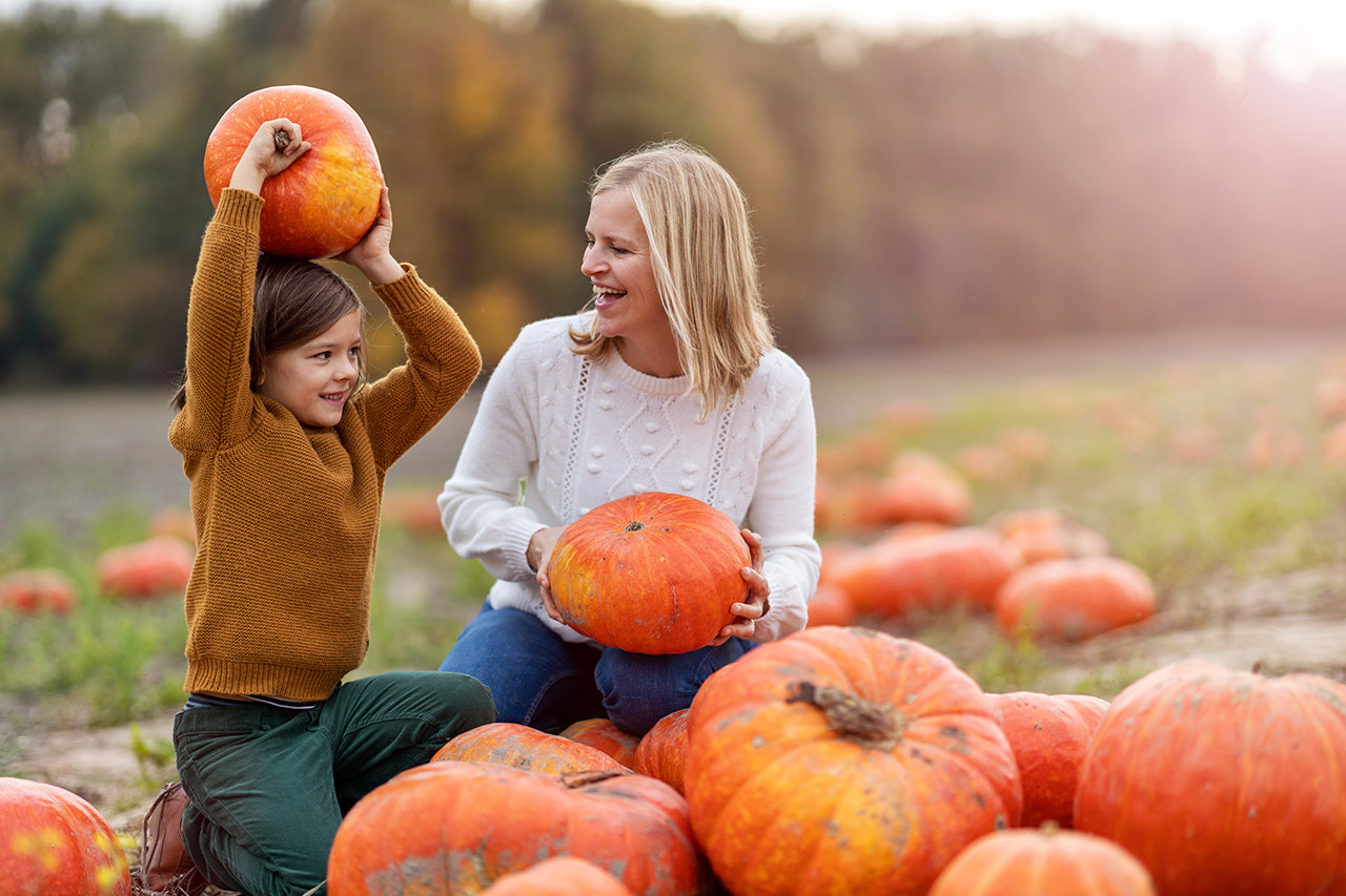 7 Interesting Activities to Do in November β Purely