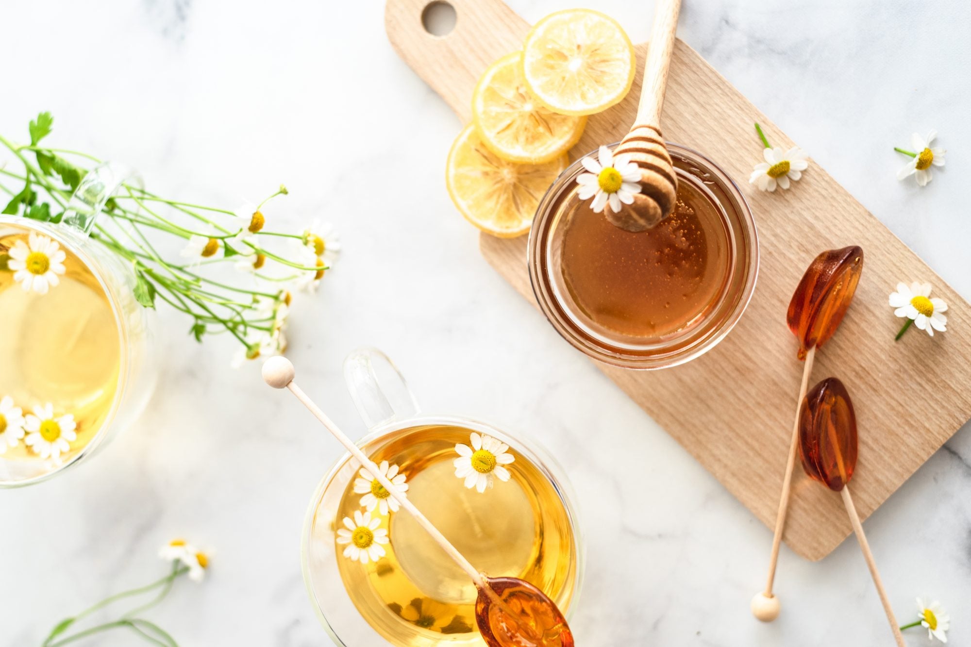 Why Should You Take Adaptogens? – Purely