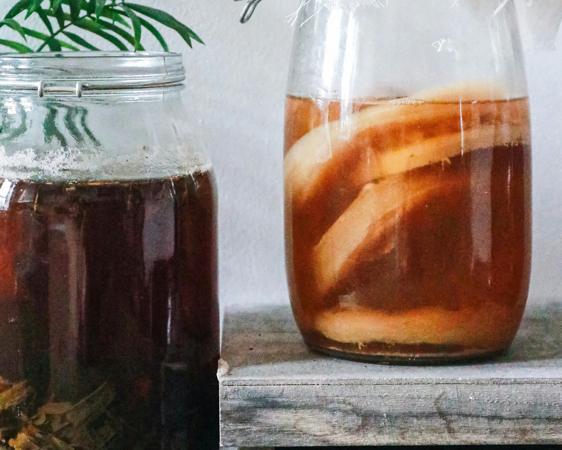 The Kombucha Craze: Why Everyone’s Sipping This Fermented Tea