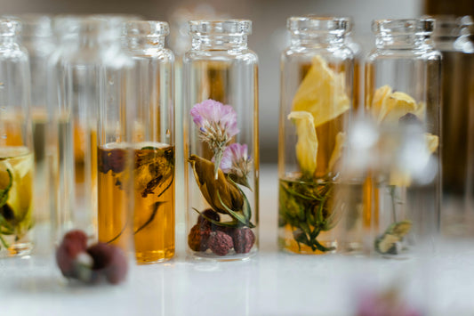 Exploring the World of Botanical Infusions